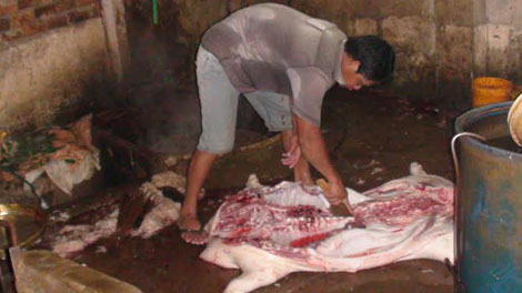 Bắt quả tang hai lò mổ heo lậu tại TP Biên Hòa
