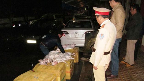 Phát hiện xe ô tô khách vận chuyển hơn 350 kg thịt chó bốc mùi