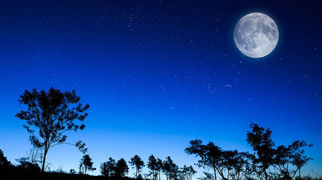 Thơ tình anh viết