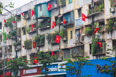 Đường phố Hà Nội rực rỡ đón xuân sang