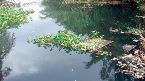 Nam thanh niên sử dụng ma túy chết do ngạt nước