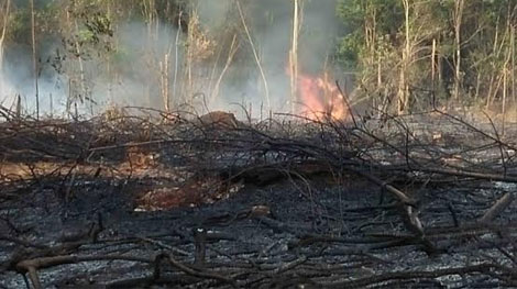 Nỗ lực chữa cháy khu đồi kho đạn