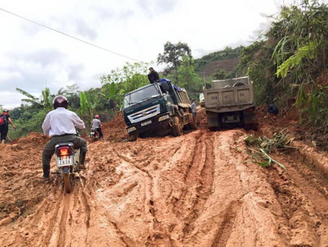 Xe chở gỗ “băm nát” đường biên giới