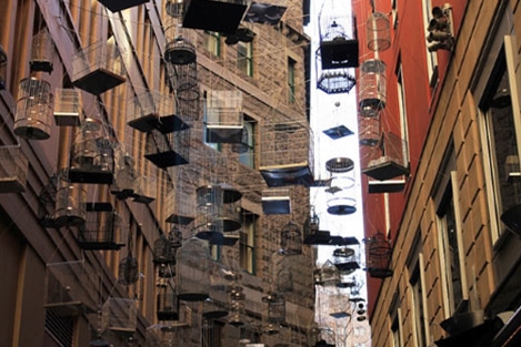 Đường lồng chim treo cao tại Sydney – Australia