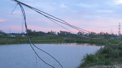 Những cái chết oan nghiệt từ bẫy điện