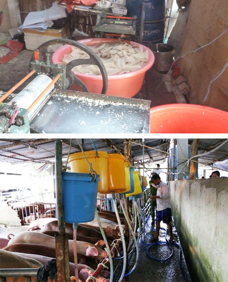 “Tuyên chiến” với thực phẩm bẩn: Cần biện pháp mạnh và hiệu quả (bài cuối)