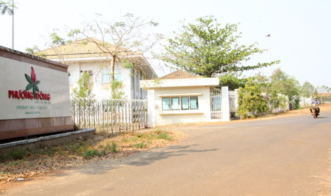 Nhức nhối nhà máy xăng sinh học ngàn tỷ “trùm mền”