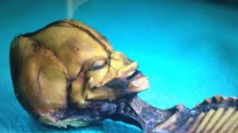 Giải mã bí ẩn về “sinh vật ngoài hành tinh” ở sa mạc Atacama