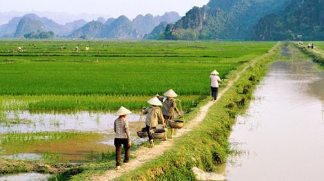 Tổ chức cuộc thi viết về đề tài “Nông dân và hợp tác”