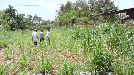 Phát hiện thi thể người đàn ông chết bí ẩn trong bụi cỏ