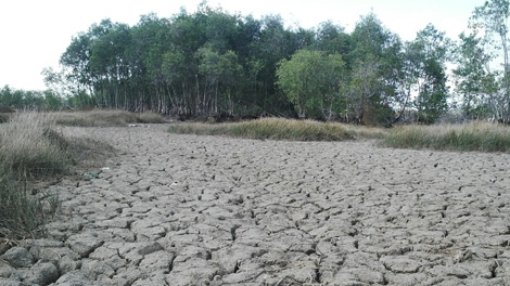 Nâng cao hiệu quả sử dụng nước cho các tỉnh bị hạn hán 