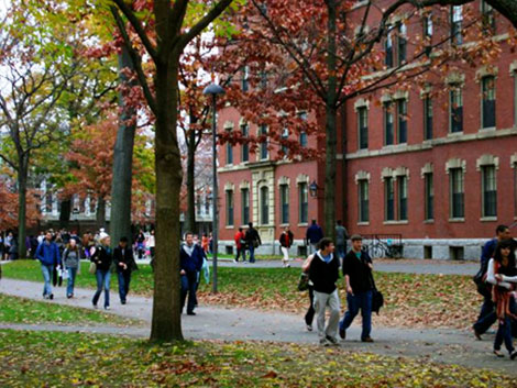 Mặt trái…du học: Cần sự tính toán khôn ngoan