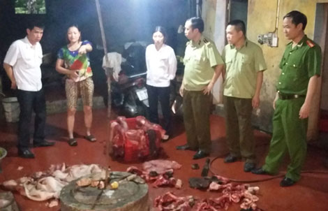 Kinh hoàng những lò giết, mổ lợn bệnh