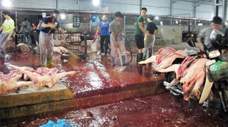 “Trống đánh xuôi kèn thổi ngược” trong việc di dời lò giết mổ tại khu dân cư