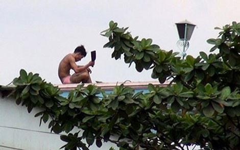 Họa… ngáo đá!