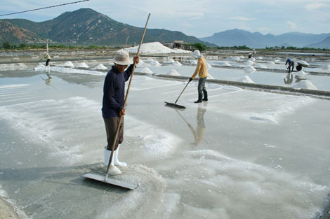 Đắng quá muối ơi (!)