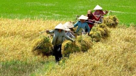 Tái cơ cấu - Bước đi tất yếu của ngành Nông nghiệp