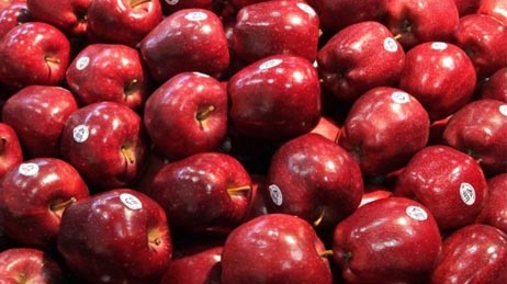 98% táo Mỹ xuất khẩu sang Việt Nam đến từ tiểu bang Washington