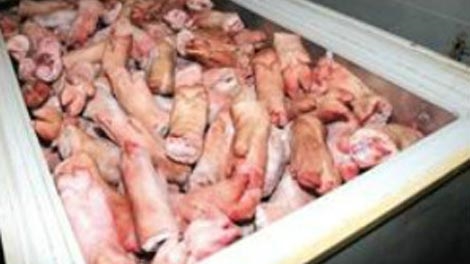 Gần 4 tạ chân giò thối chuẩn bị 'phục vụ Tết'