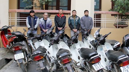 2 anh em cùng đồng bọn trộm 26 xe máy tại Lào Cai