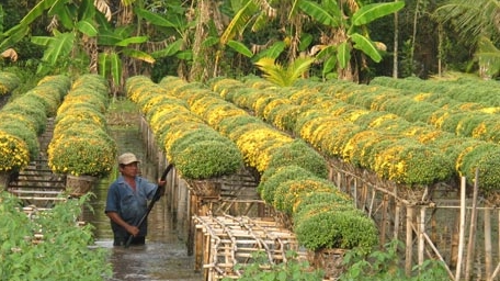 Sắc xuân Sa Đéc