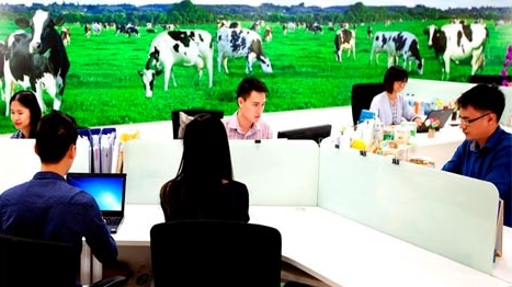 Vinamilk đứng thứ 2 trong Top 100 nơi làm việc tốt nhất Việt Nam