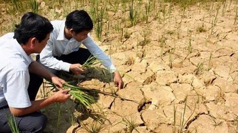 Khô hạn diện rộng ở miền Trung sẽ kéo dài tới tháng 9
