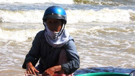 Hiệp sĩ cửa biển