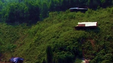 Đổ xô lên núi xây nhà trái phép