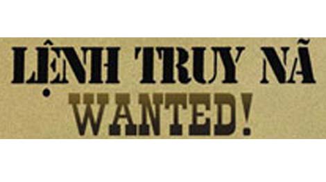 Bắt giữ đối tượng trộm cắp mang 2 lệnh truy nã