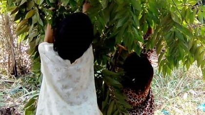 Tạm giữ cha ruột ‘làm bậy’ với 2 con gái nhỏ