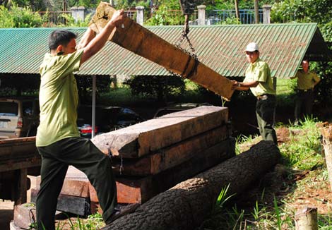 Tịch thu hơn 20m3 gỗ không rõ nguồn gốc
