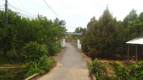 Đường về của một con bạc từng bị chặt đứt ngón tay