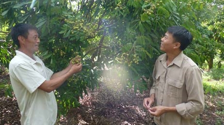 Người thức tỉnh ở 'vùng rốn' ma túy