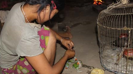 Nỗi buồn miền sơn cước