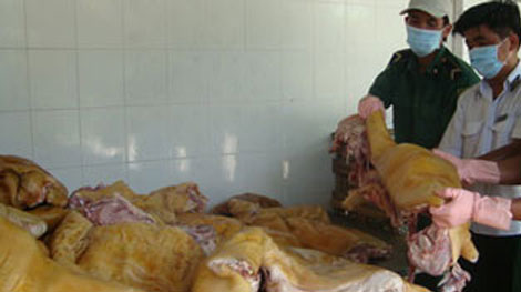 Quy định về kiểm dịch động vật khi quá cảnh