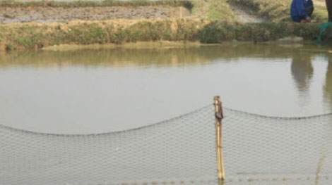 Hai cháu nhỏ chết đuối thương tâm