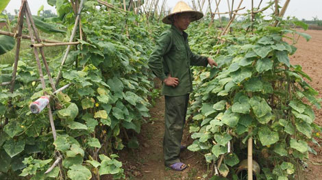 Hàng chục hộ dân vẫn đang chờ... bồi thường