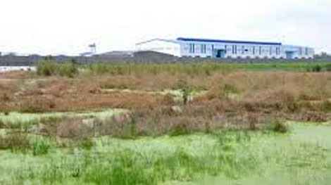 Truy thu số tiền đã đền bù giải phóng mặt bằng cho bà Phùng Thị Thu