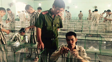 Đếm ngược thời gian mong ngày về