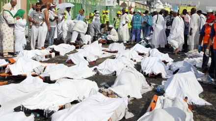 Thành lập Uỷ ban điều tra tối cao về vụ giẫm đạp ở Thánh địa Mecca
