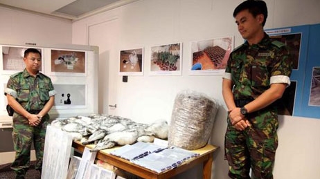 Chiến dịch phối hợp bắt hơn 19 ngàn tội phạm