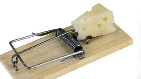 Cặp vợ chồng lãnh án 15 năm tù vì... bẫy chuột!