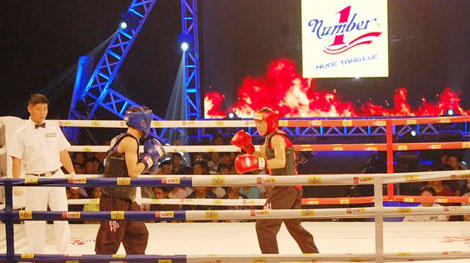 Hạ võ sĩ đàn anh, Minh Tiến nhận giải thưởng 