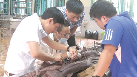 Chuyện cảm động phía sau những lá đơn hiến thi thể