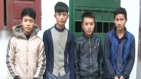 Phá ổ nhóm chuyên trộm trâu bò