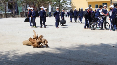 Nữ sinh đột tử trong giờ học thể chất
