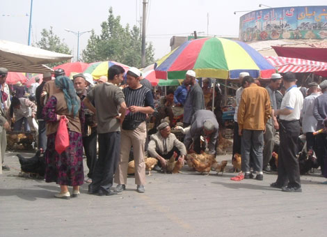 Miền ngọc đẹp dưới núi Côn Luân