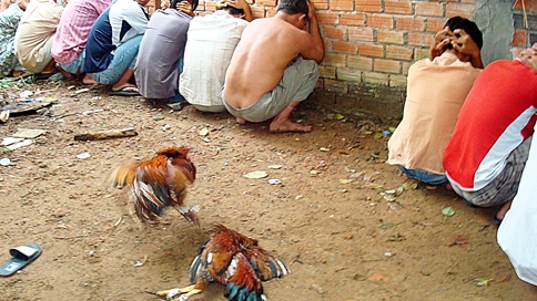 Triệt xóa tụ điểm đá gà  ăn thua bằng tiền