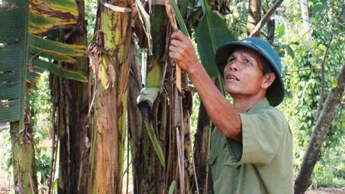 Người cựu chiến binh giàu lòng nhân ái